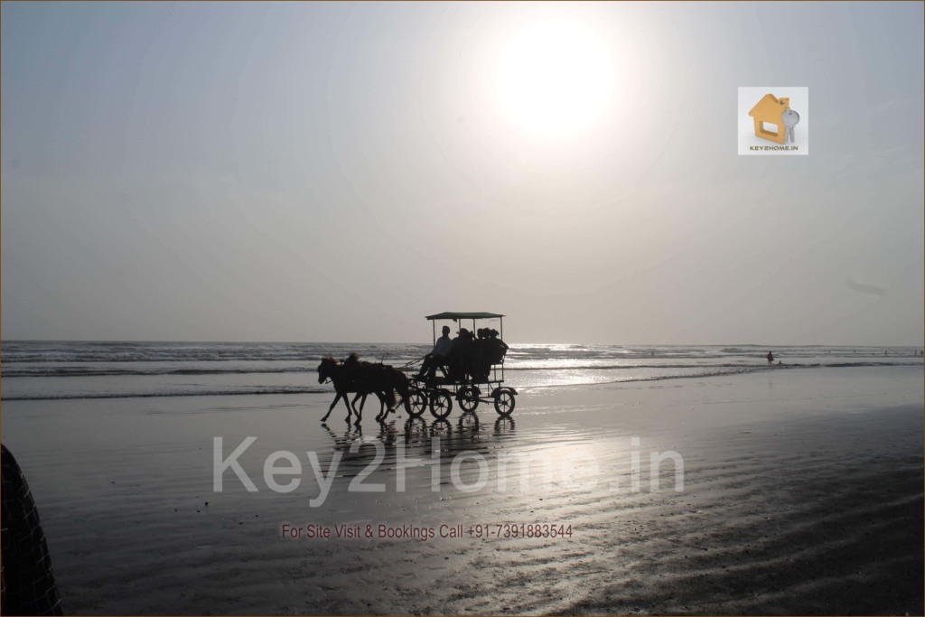 Invest Land plot konkan near beach (84)