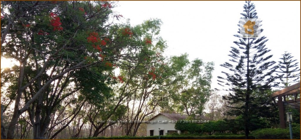 4 Seasons bavdhan farmhouse plots 