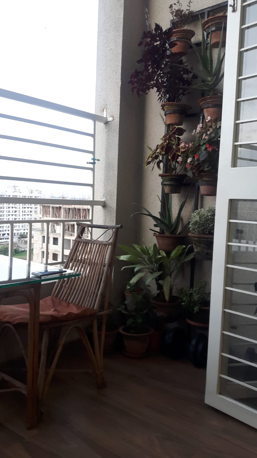 1BHK for rent in Hinjewadi Near Wipro Circle (4)